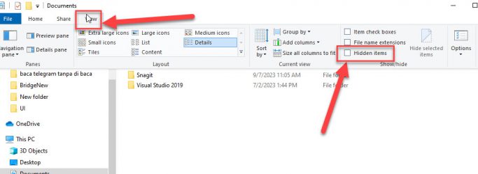 Cara Menampilkan File Hidden di Laptop Windows